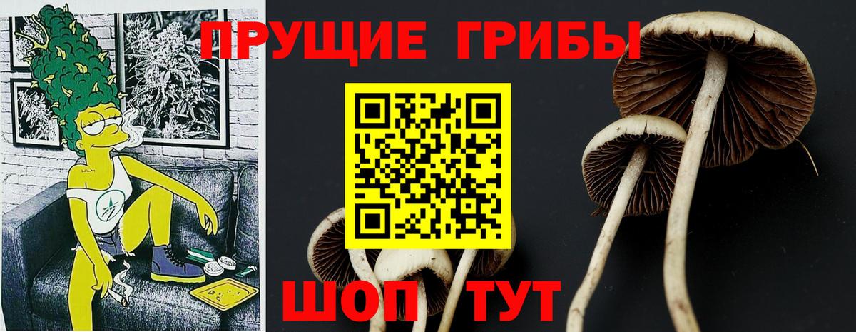 Галлюциногенные грибы Psilocybine cubensis  Псилоцибиновые грибы ЛСД  Озёрск  Вход с VPN 