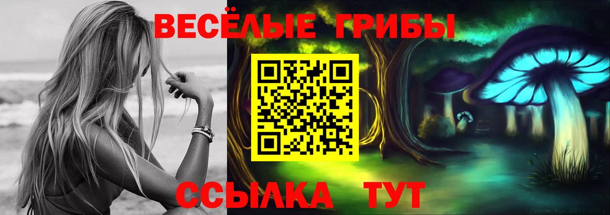 Галлюциногенные грибы ЛСД Озёрск